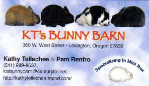 kt_s_bunny_barn_card.jpg